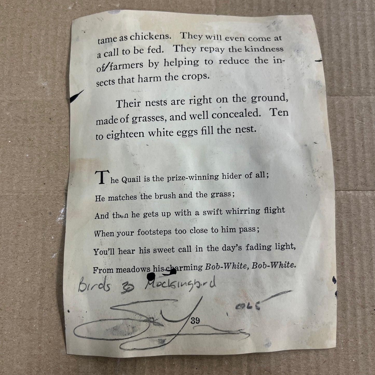 Original Abstract Modern Art Bird Painting "The Mockingbird" Signed