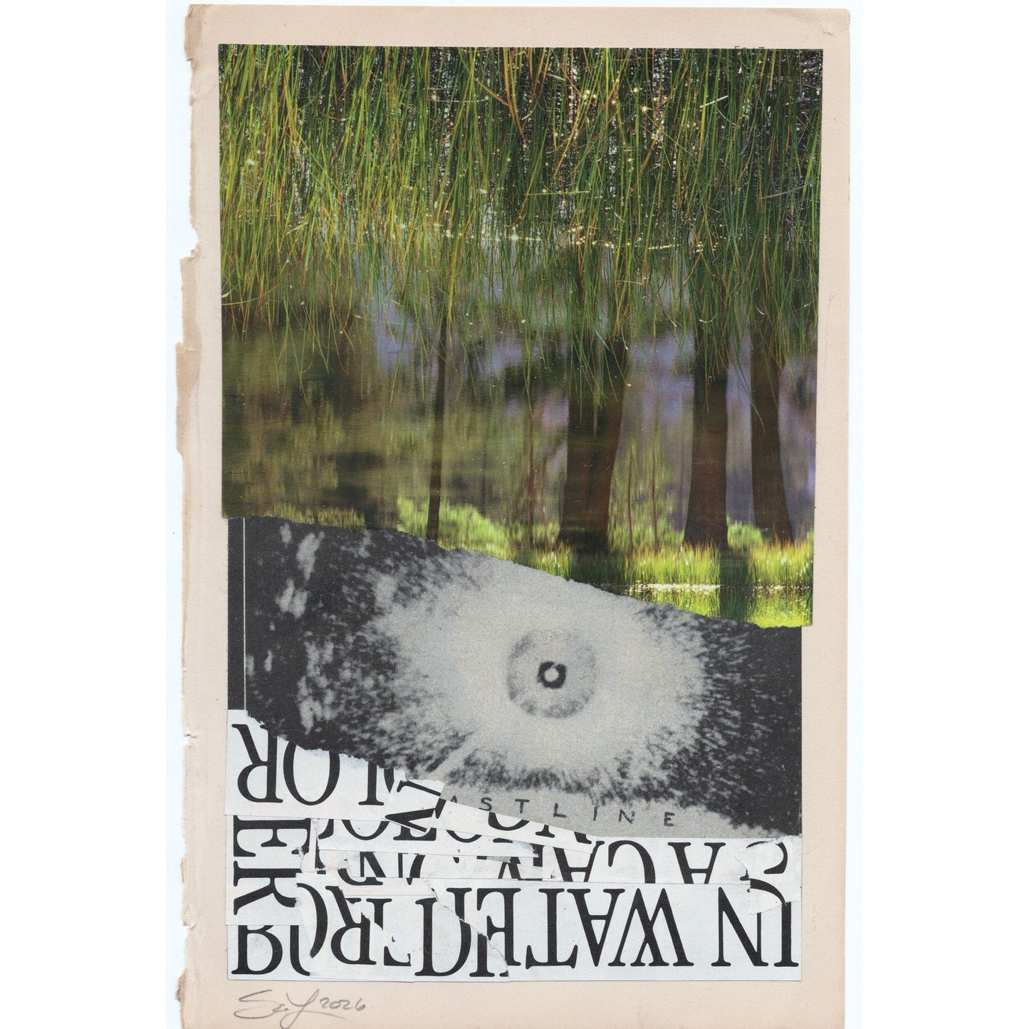 Original Mixed Media Modern Art Collage "Monoxylon" 5.75x9" Signed