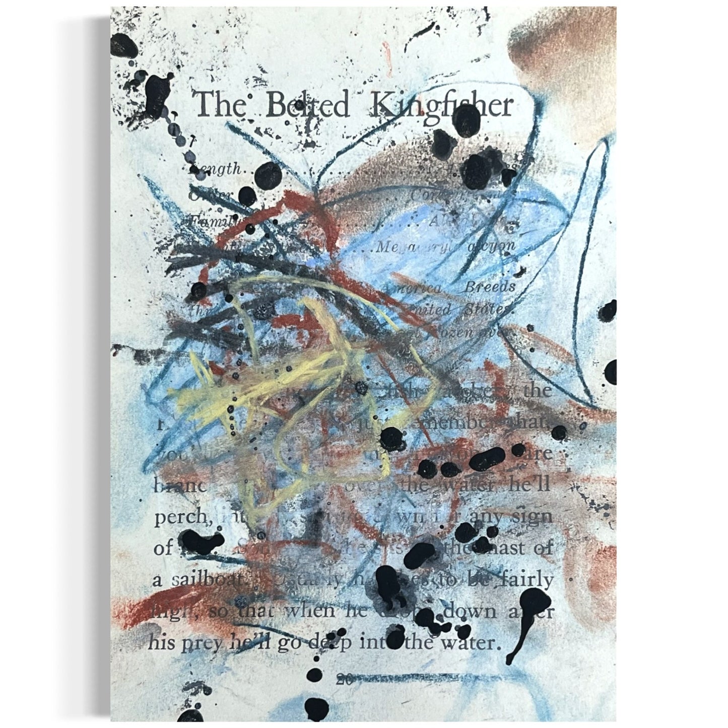 Original Abstract Modern Art Bird Painting "The Belted Kingfisher" Signed