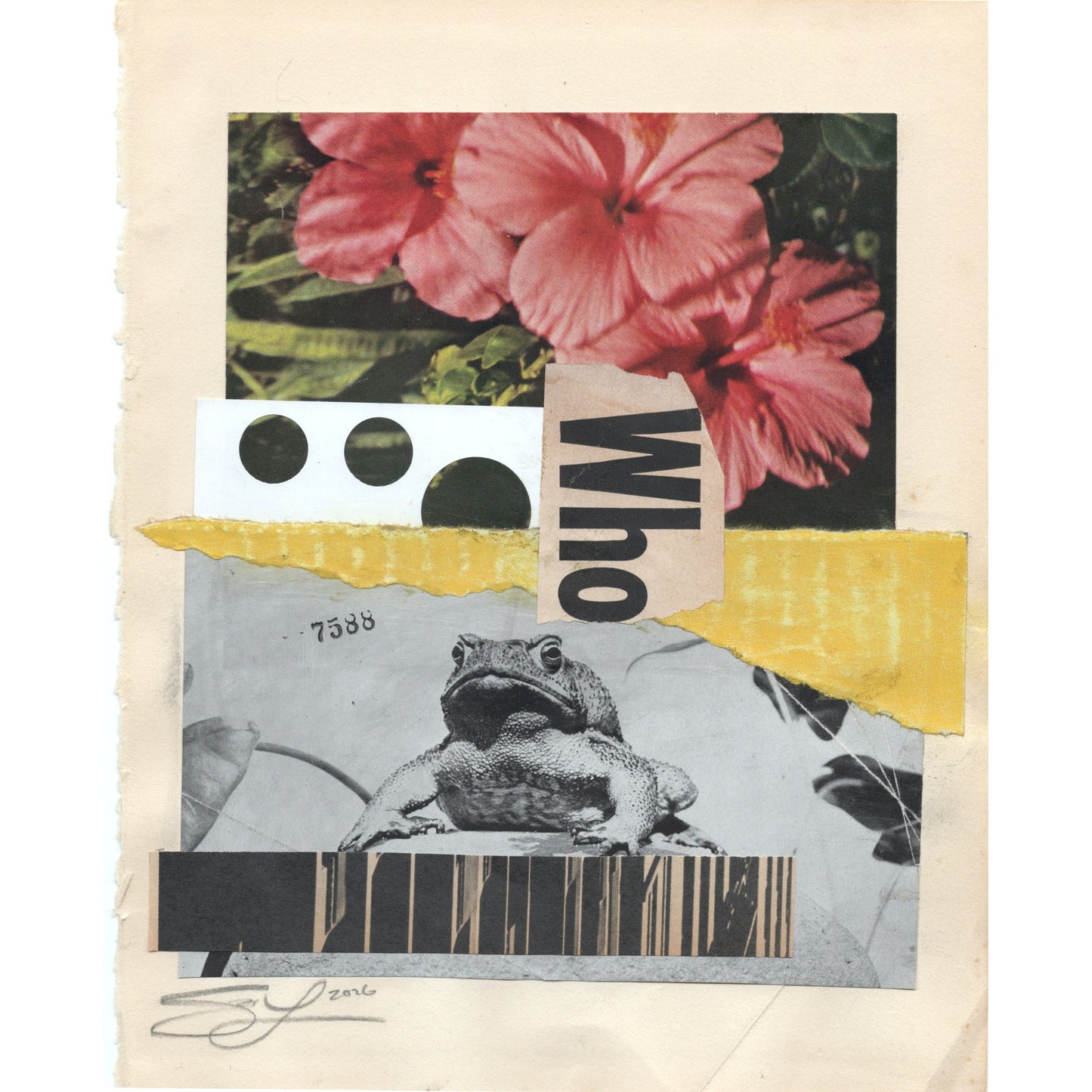 Original Mixed Media Modern Art Collage "Maculose" 8x10" Signed