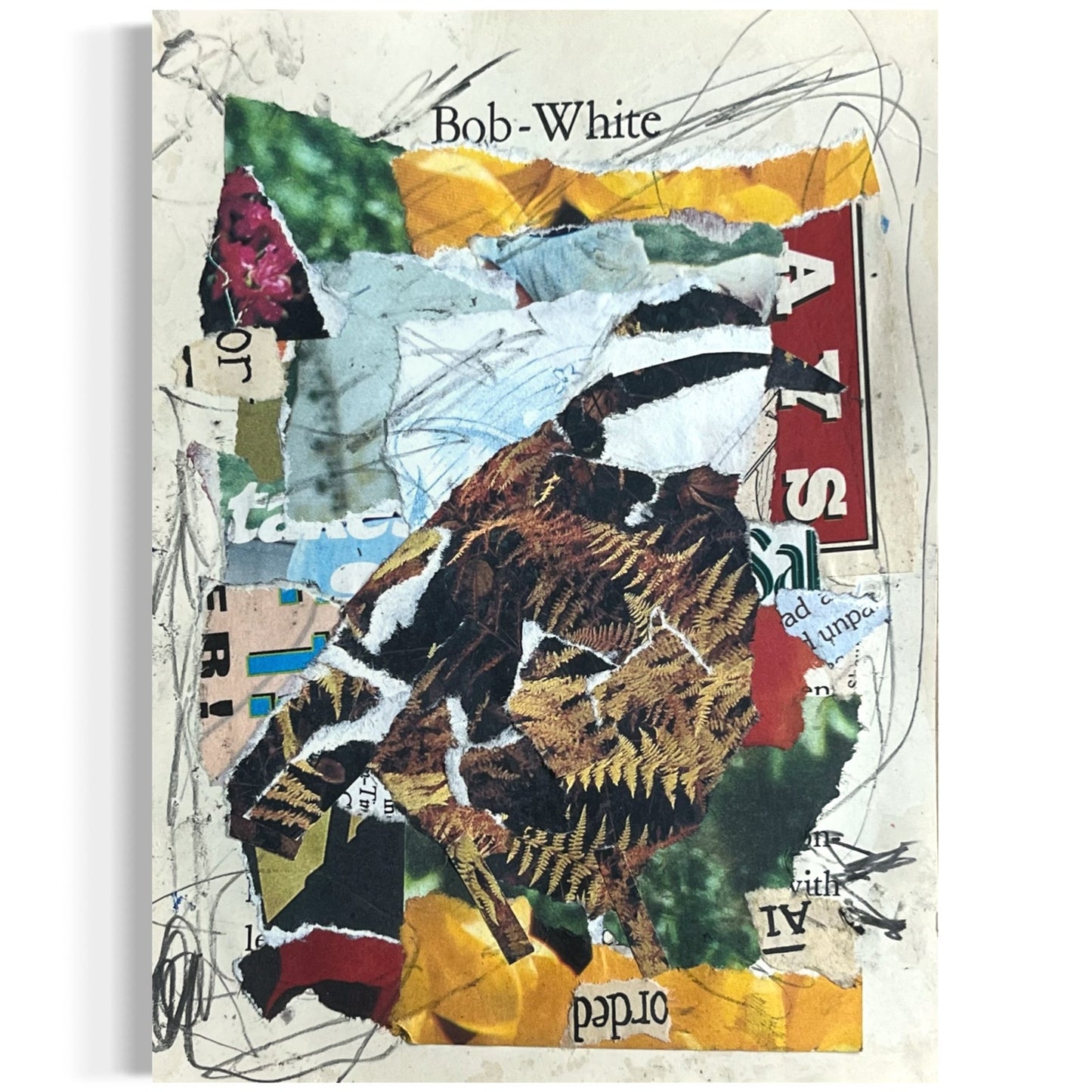 Original Abstract Modern Art Bird Painting "Bob White" Signed