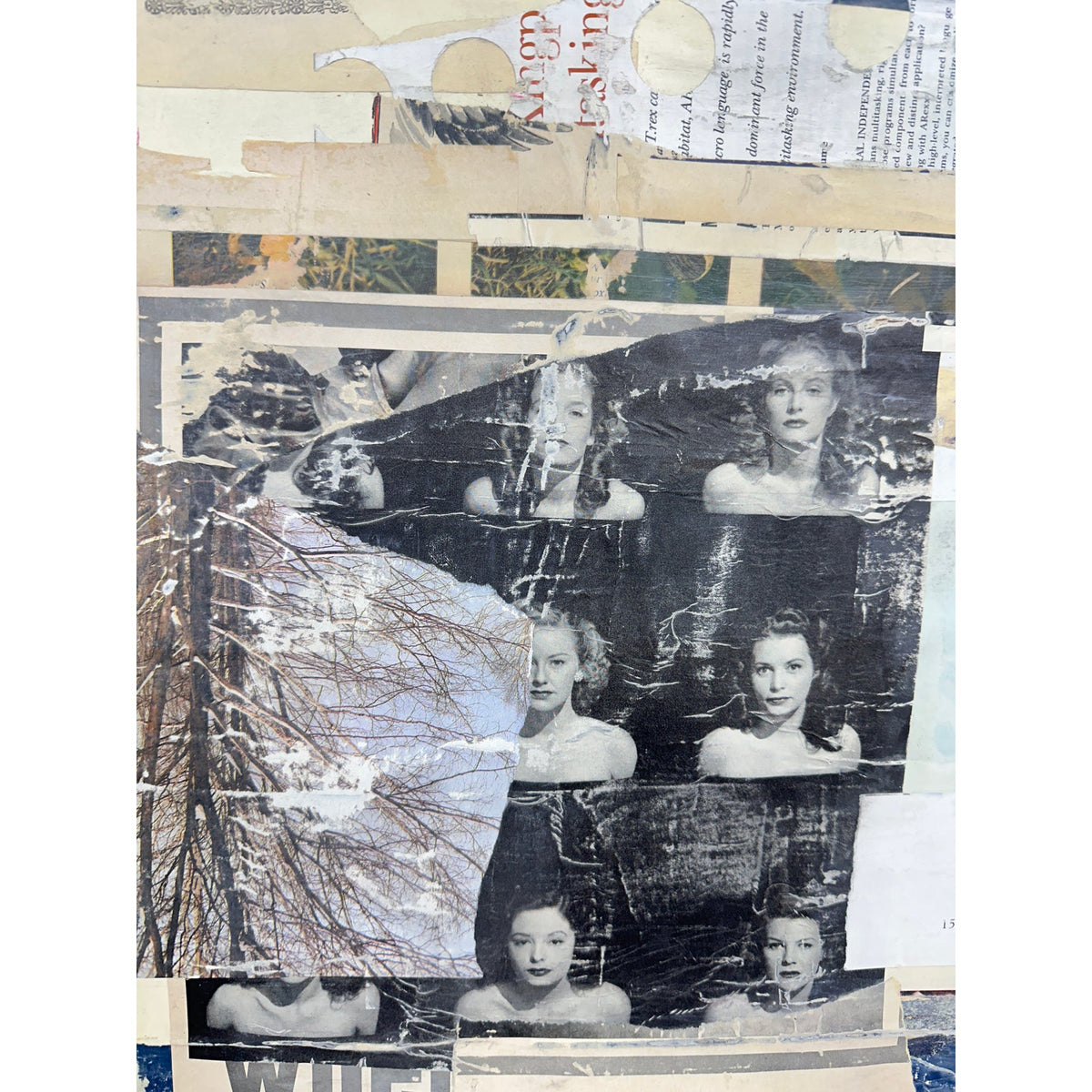 Original Mixed Media Modern Art Collage Painting 18x24 "Benthos" Signed