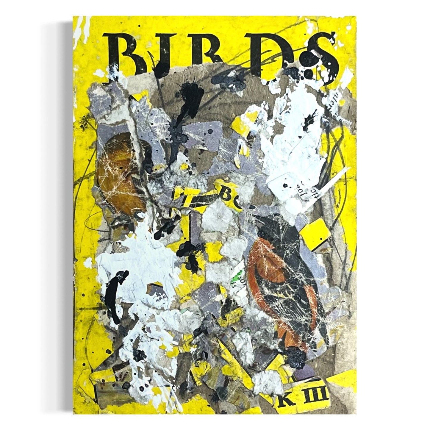 Original Abstract Modern Art Bird Painting "Birds Book III Front Cover" Signed
