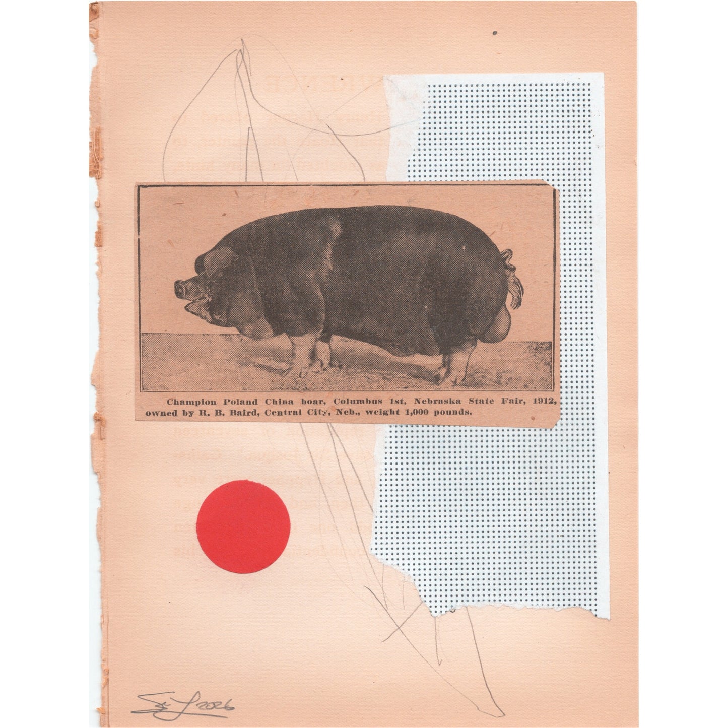 Original Mixed Media Modern Art Collage "Schoenabatic" 5.75x7.5" Signed