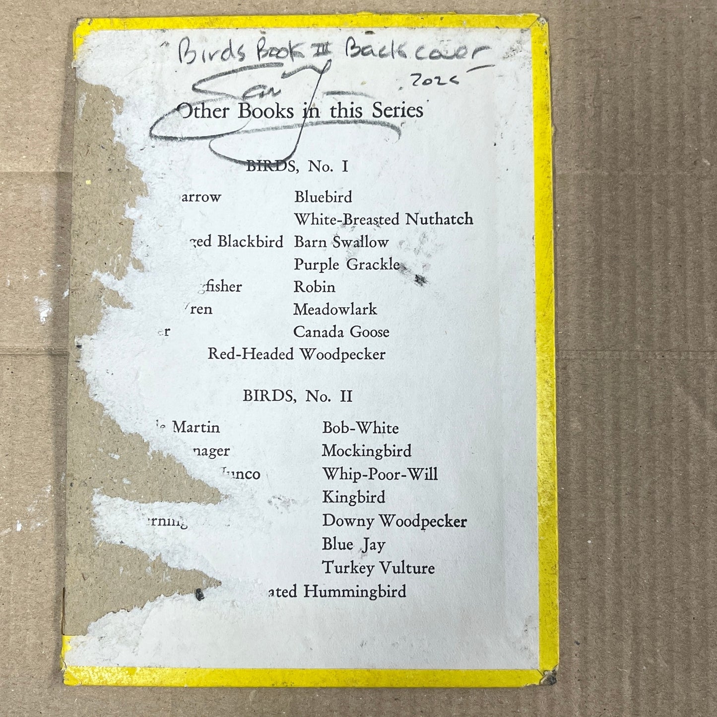 Original Abstract Modern Art Bird Painting "Birds Book III Back Cover" Signed