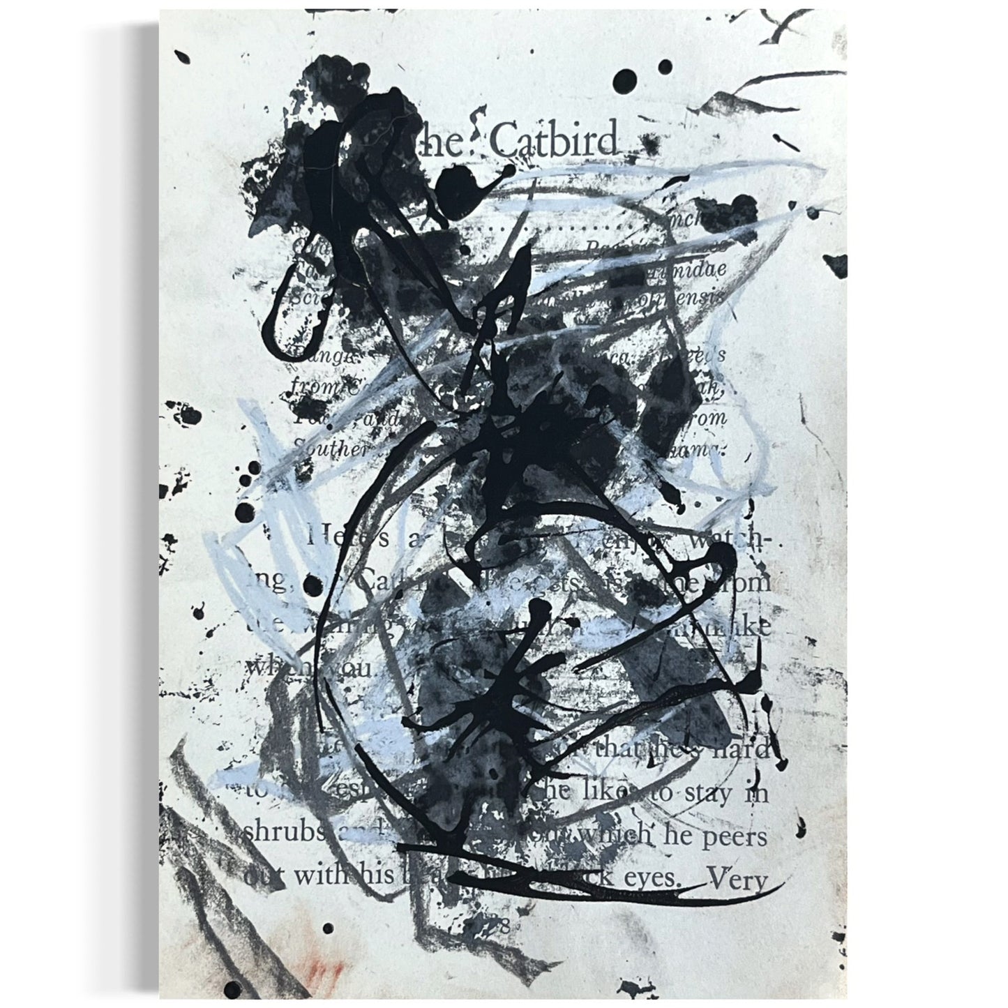 Original Abstract Modern Art Bird Painting "The Catbird" Signed