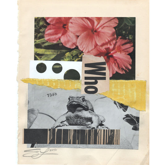 Original Mixed Media Modern Art Collage "Maculose" 8x10" Signed