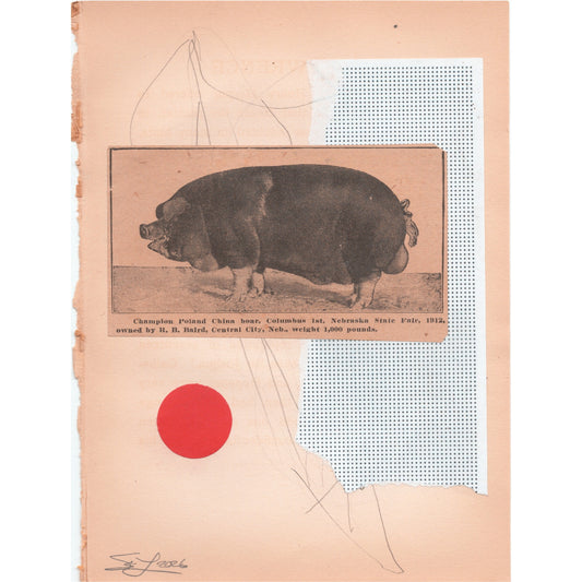 Original Mixed Media Modern Art Collage "Schoenabatic" 5.75x7.5" Signed
