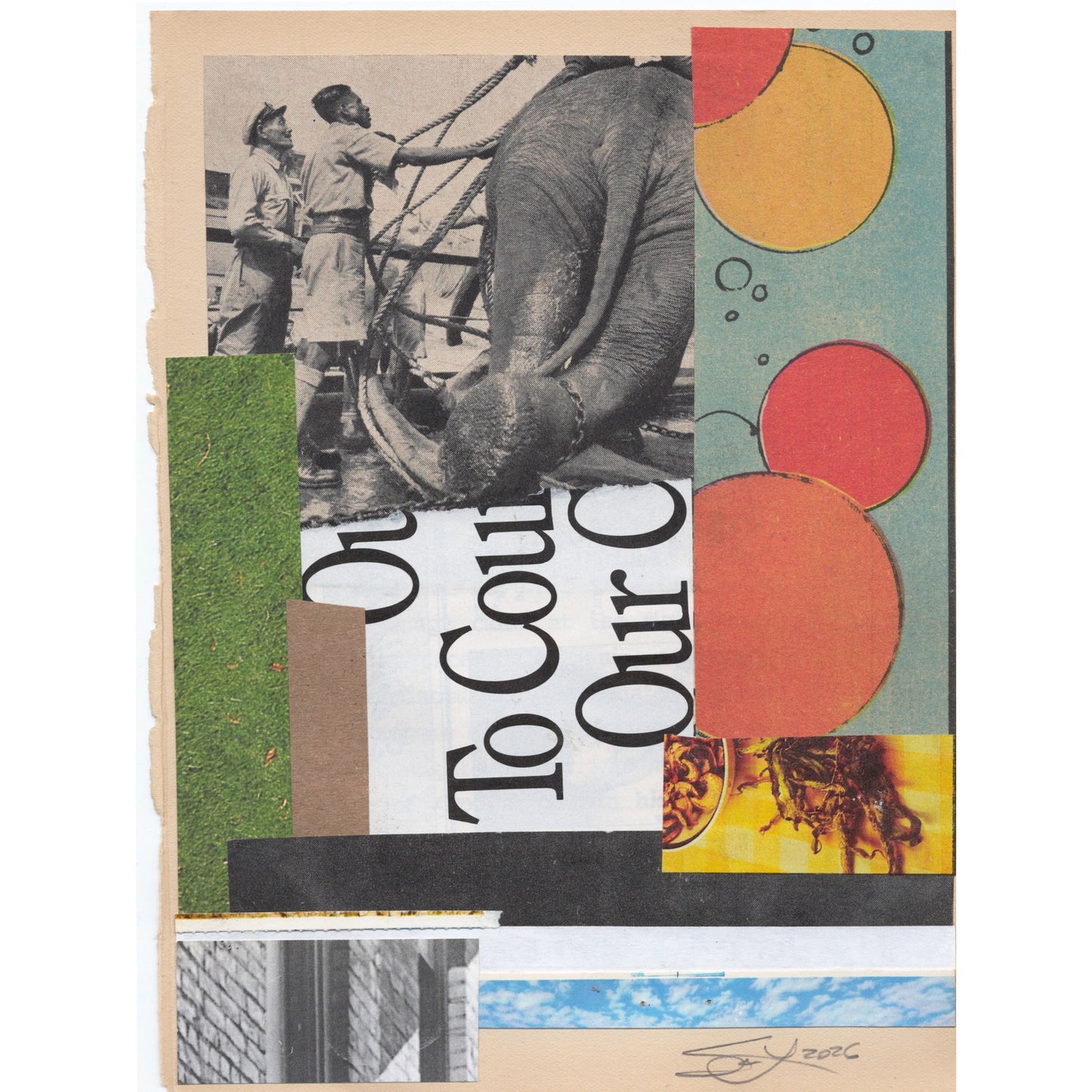 Original Mixed Media Modern Art Collage "Paxillose" 5.75x7.5" Signed
