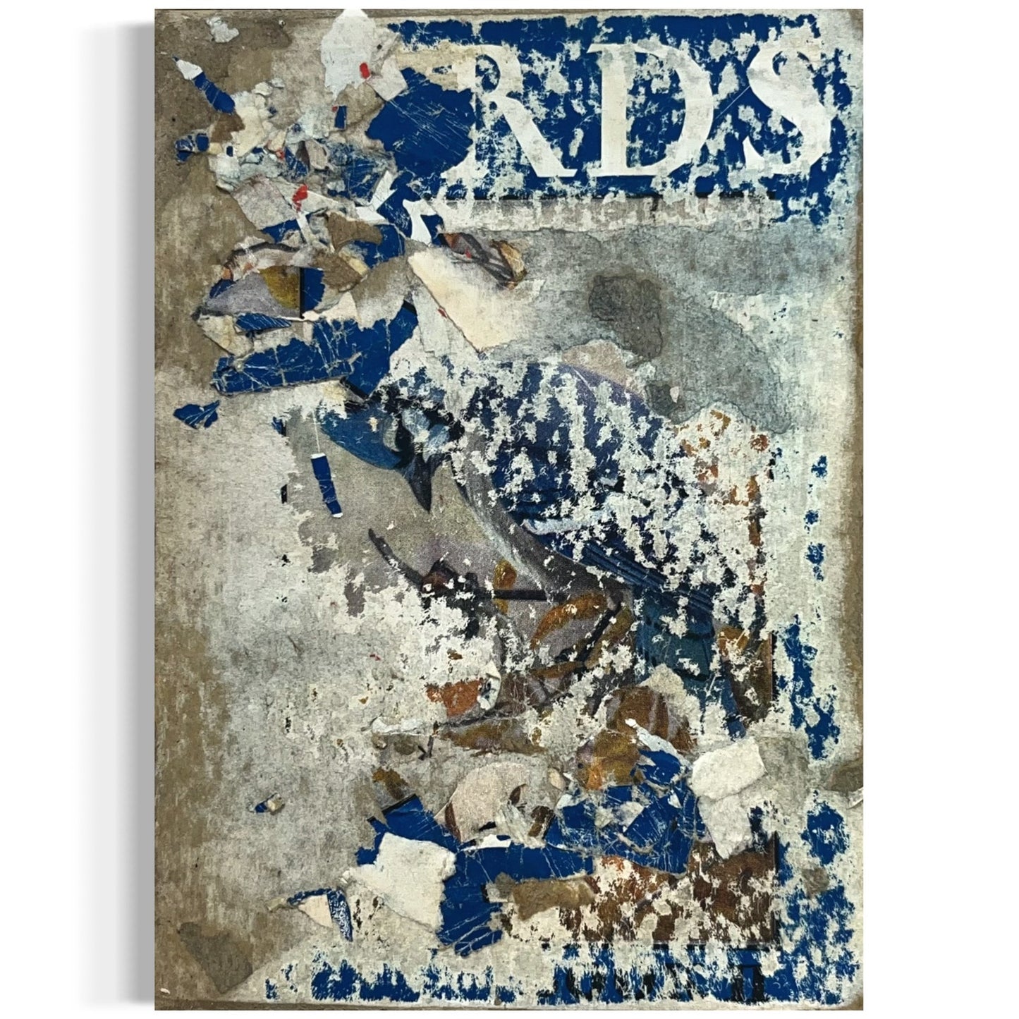 Original Abstract Modern Art Bird Painting "Birds Book II Front Cover" Signed