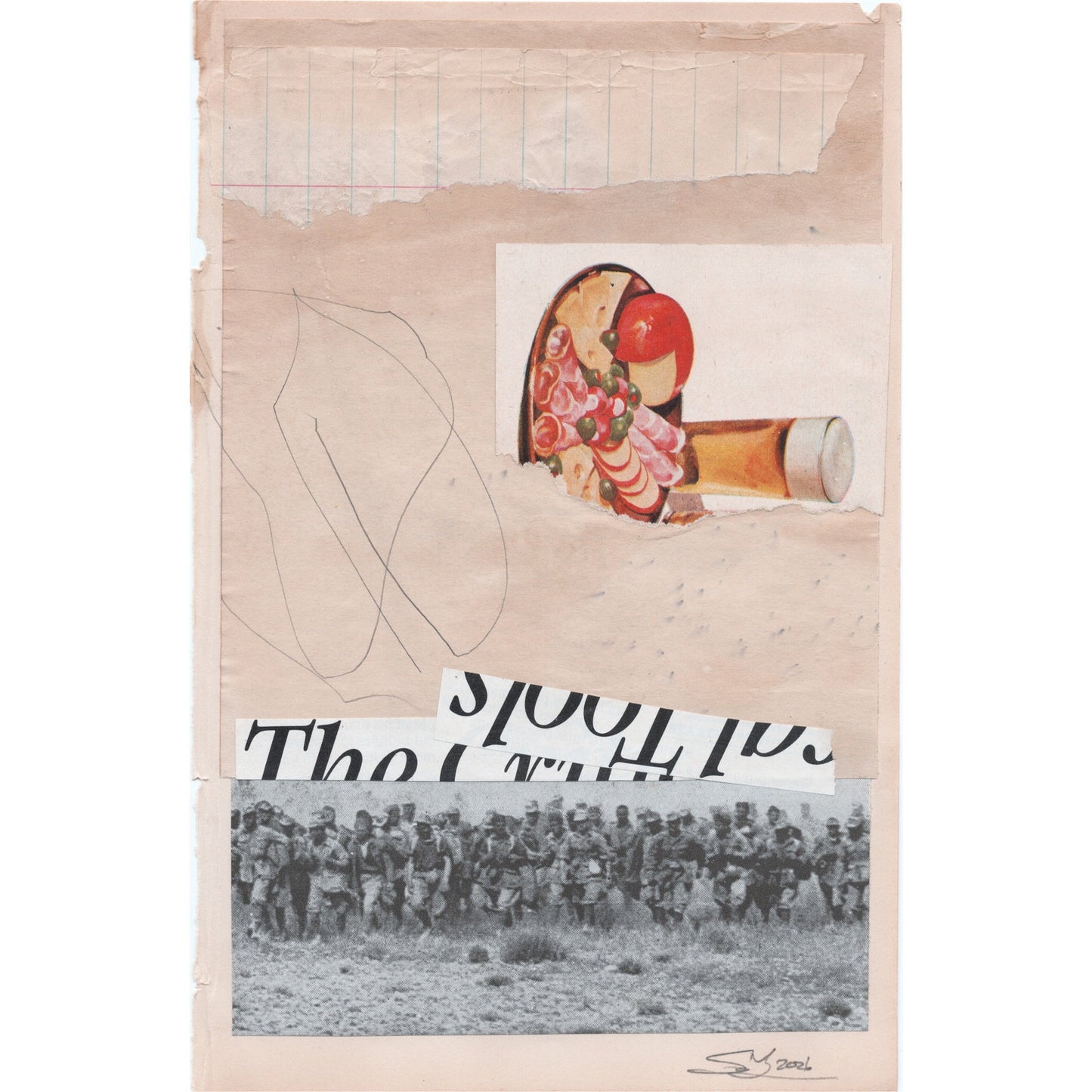 Original Mixed Media Modern Art Collage "Entomophaga" 5.75x9" Signed