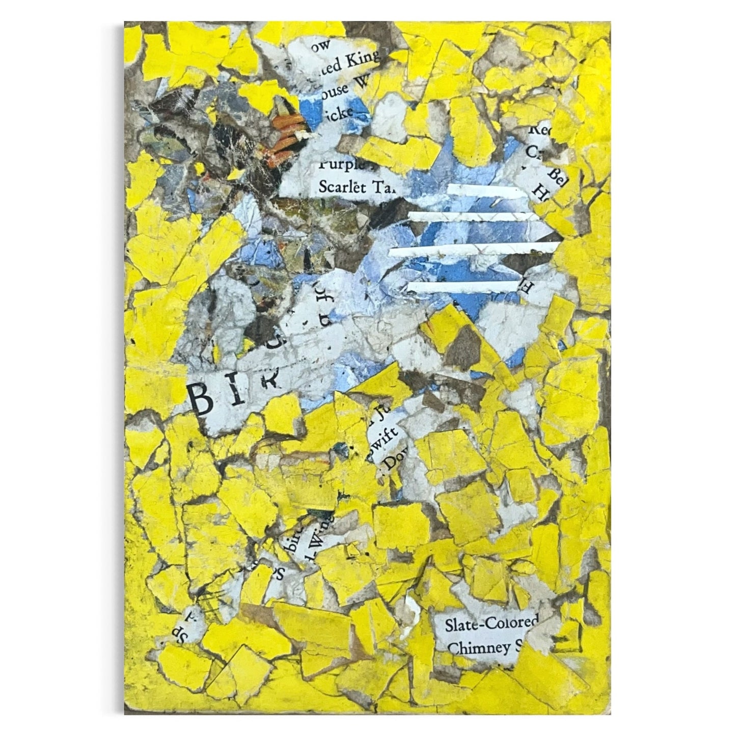 Original Abstract Modern Art Bird Painting "Birds Book III Back Cover" Signed