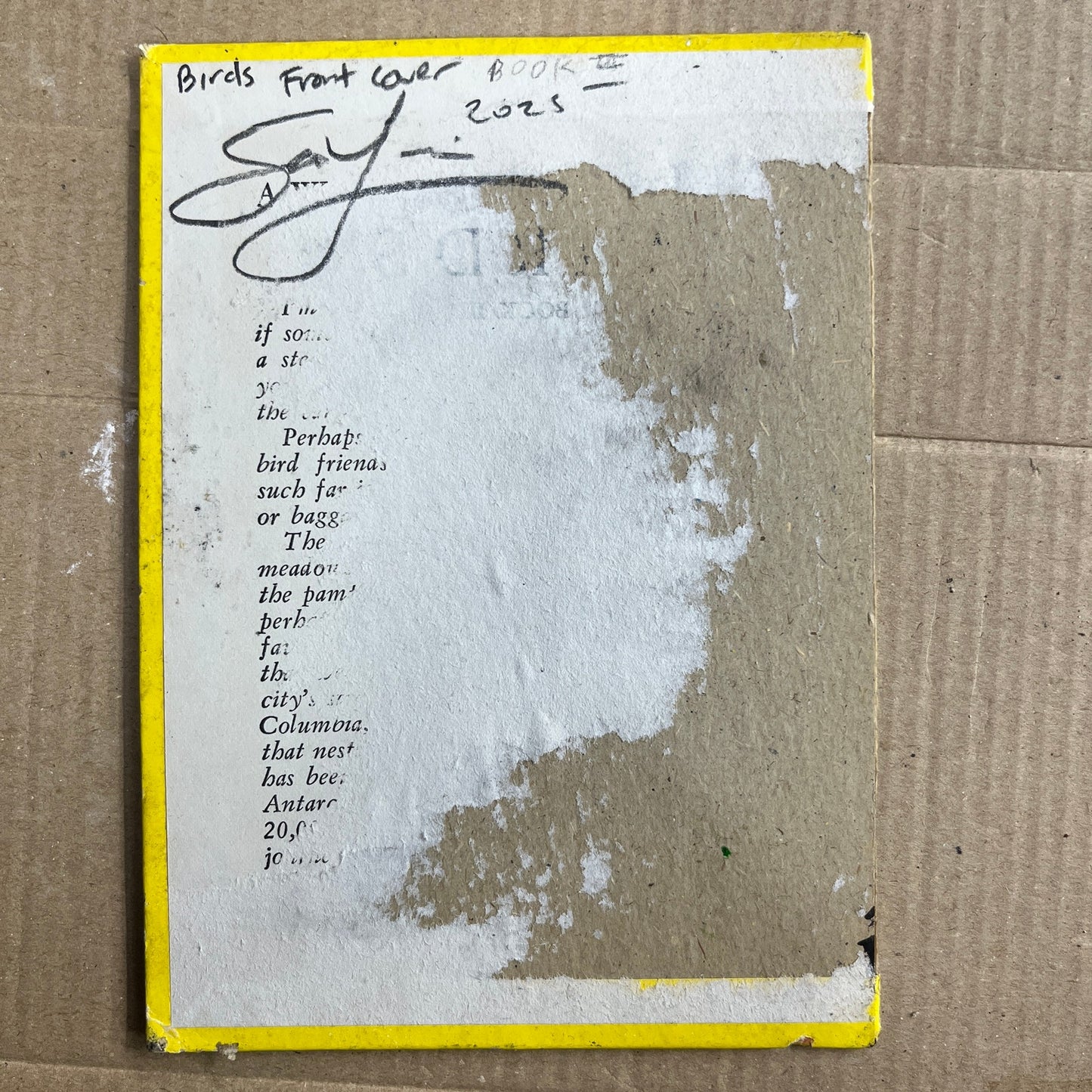 Original Abstract Modern Art Bird Painting "Birds Book III Front Cover" Signed
