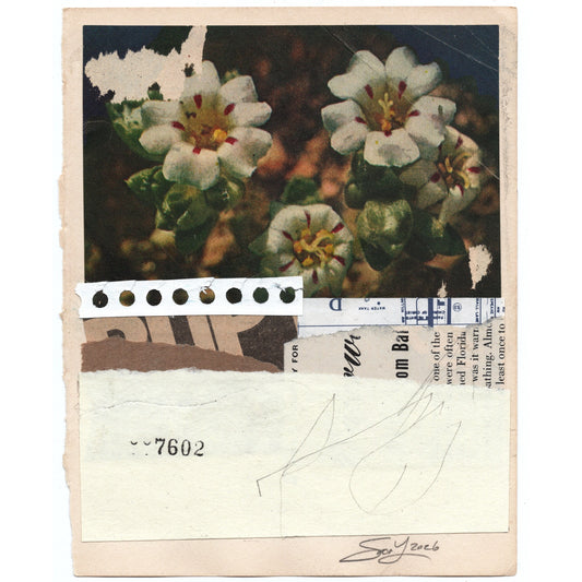 Original Mixed Media Modern Art Collage "Strahl" 5.25x6.75" Signed