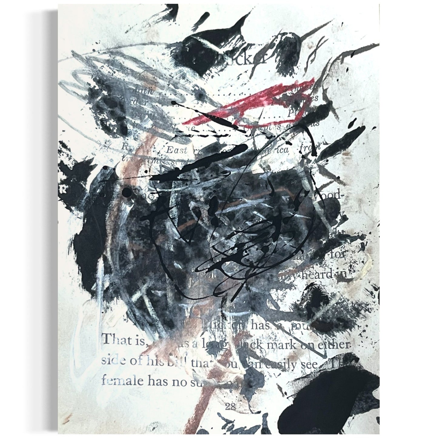 Original Abstract Modern Art Bird Painting "The Flicker" Signed